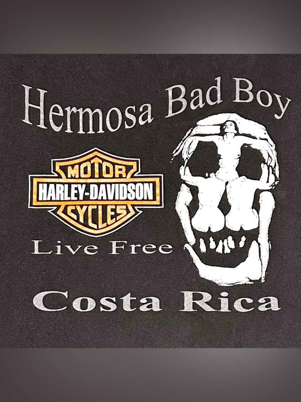 Harley Davidson Costa Rica Skull Graphic Tee XL Faded Biker Moto